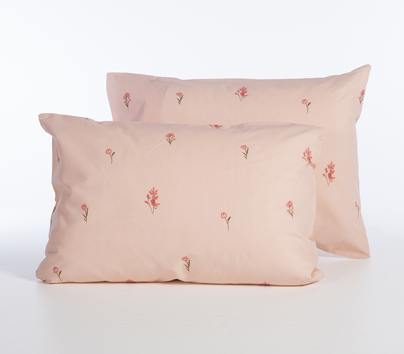 Προηγούμενο προϊόν